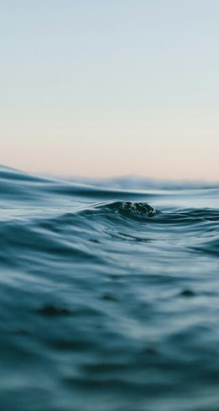 Swimming, Opotiki