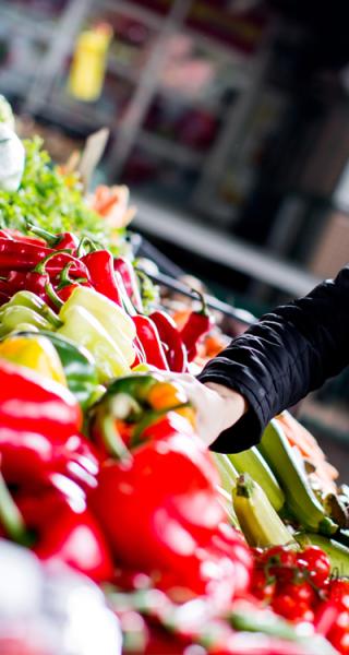 Opotiki Retail outlets for food and produce
