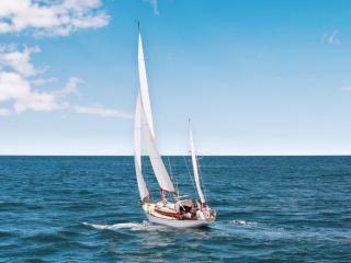 Boats and Yacht Services Opotiki