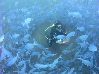 Diving in Opotiki, New Zealand