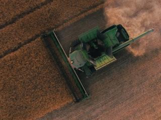 Farming Opotiki