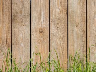 Fencing Opotiki