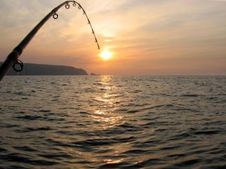 Fishing, Opotiki