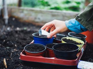 Gardening Services Opotiki