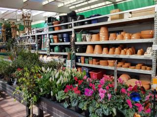 Mitre 10 Garden Centre Opotiki