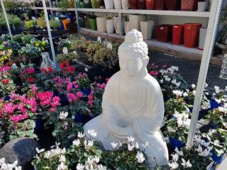 Mitre 10 Garden Centre Opotiki