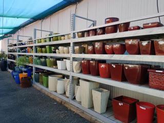Plant Pots