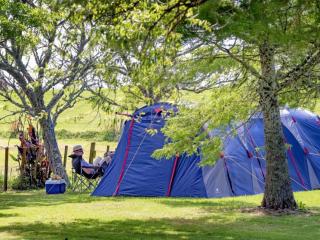 Tent & Powered Sites