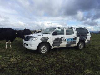 Bay Veterinary Group Ltd Opotiki