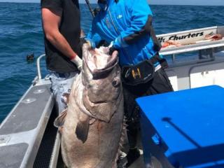 Club Talk Charters