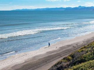 Department of Conservation Opotiki