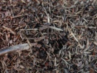 Mulch