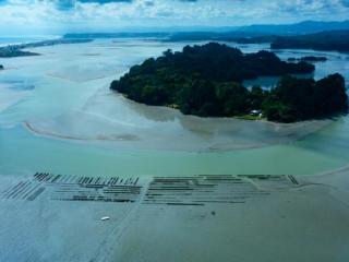 ŌHIWA OYSTER FARM