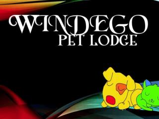 Windego Pet Lodge, Opotiki