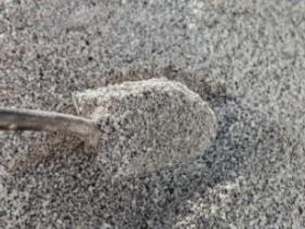 Aggregates 