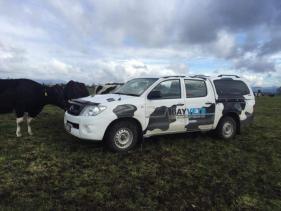 Bay Veterinary Group Ltd Opotiki
