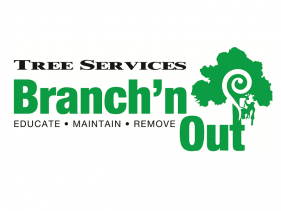 Branch'n Out Tree Services Opotiki