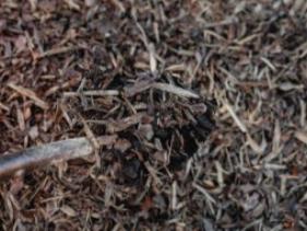 Mulch