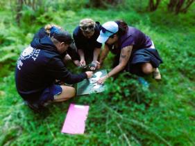 Team bonding and skill-testing challenges